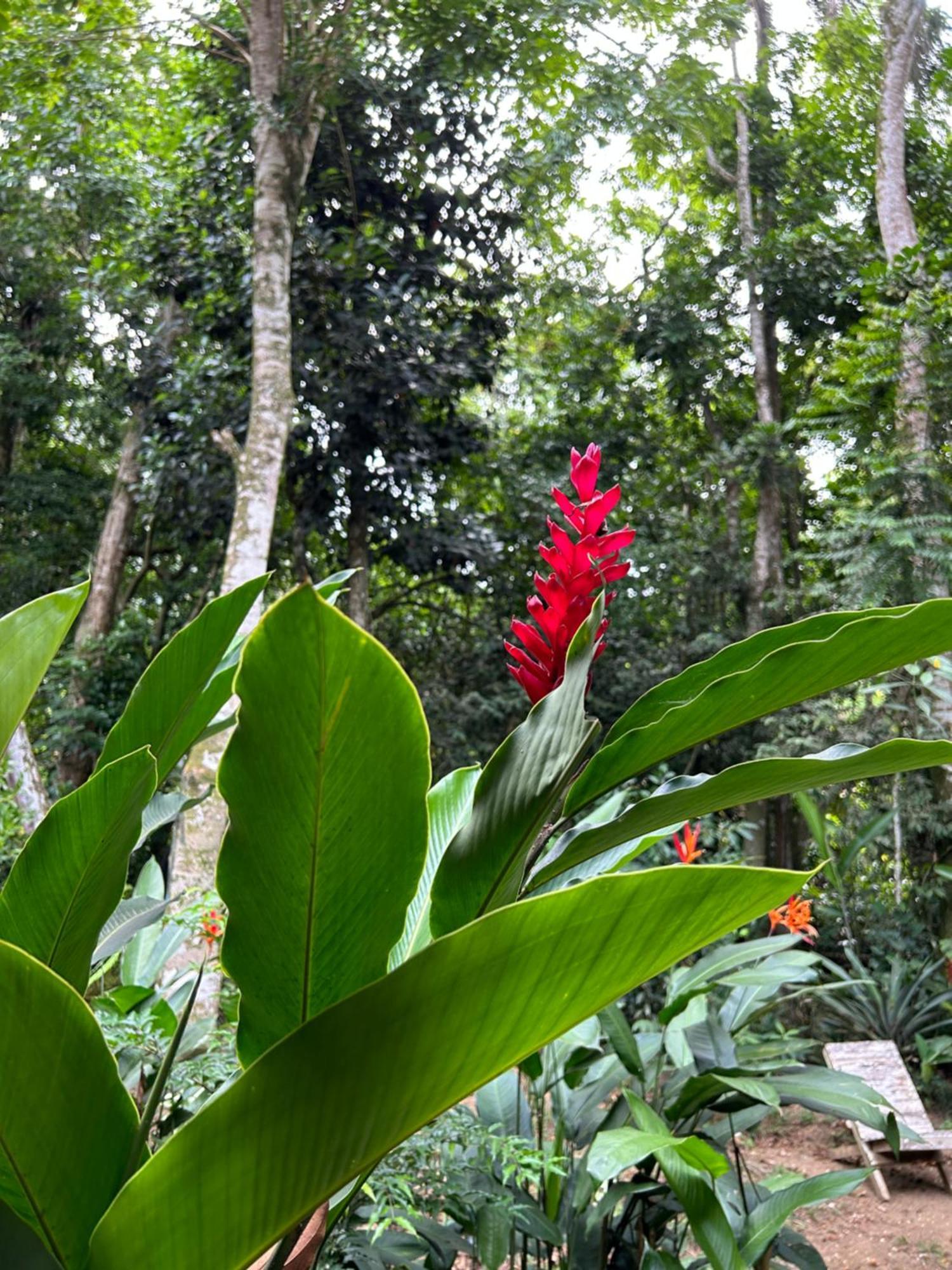 Chale Ouro Verde Angra dos Reis Eksteriør billede